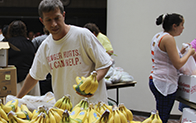 person sorting bunches of bananas at food market